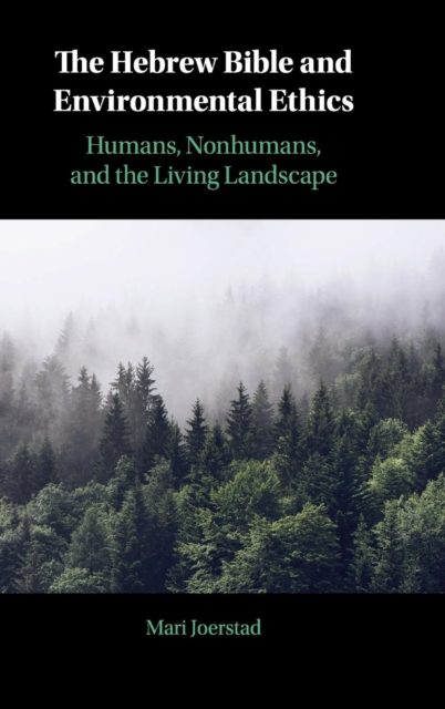 The Hebrew Bible and Environmental Ethics : Humans, NonHumans, and the Living Landscape, Hardback Book