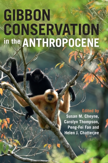 Gibbon Conservation in the Anthropocene, Hardback Book