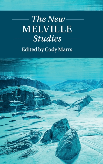 The New Melville Studies, Hardback Book