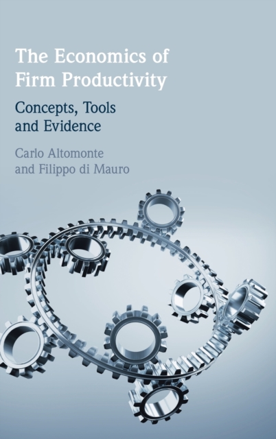 The Economics of Firm Productivity : Concepts, Tools and Evidence, Hardback Book