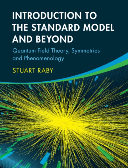 Introduction to the Standard Model and Beyond : Quantum Field Theory, Symmetries and Phenomenology, Hardback Book