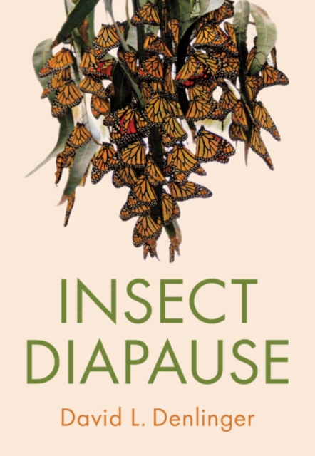 Insect Diapause, Hardback Book