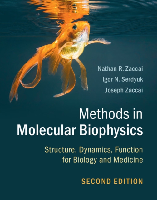 Methods in Molecular Biophysics : Structure, Dynamics, Function for Biology and Medicine, PDF eBook