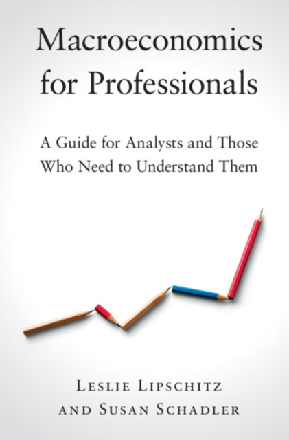 Macroeconomics for Professionals : A Guide for Analysts and Those Who Need to Understand Them, PDF eBook