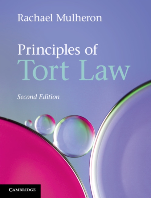 Principles of Tort Law, EPUB eBook