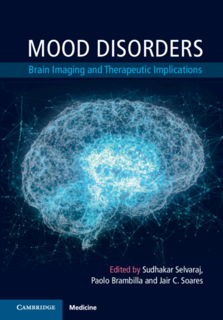 Mood Disorders : Brain Imaging and Therapeutic Implications, PDF eBook