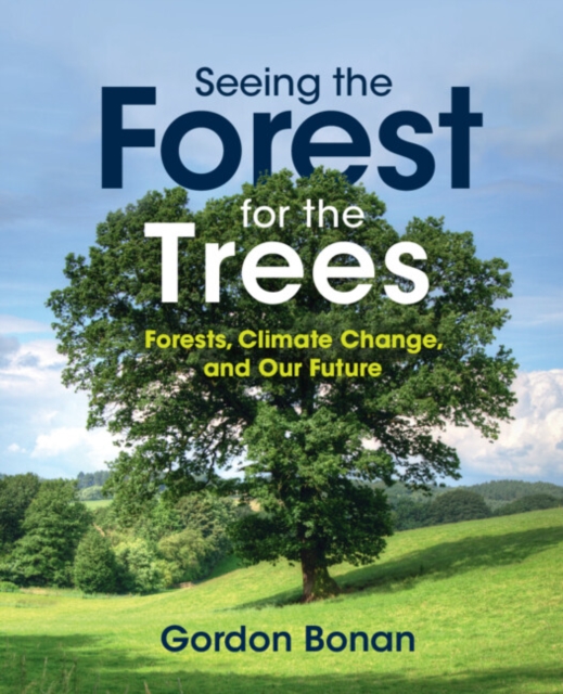Seeing the Forest for the Trees : Forests, Climate Change, and Our Future, PDF eBook