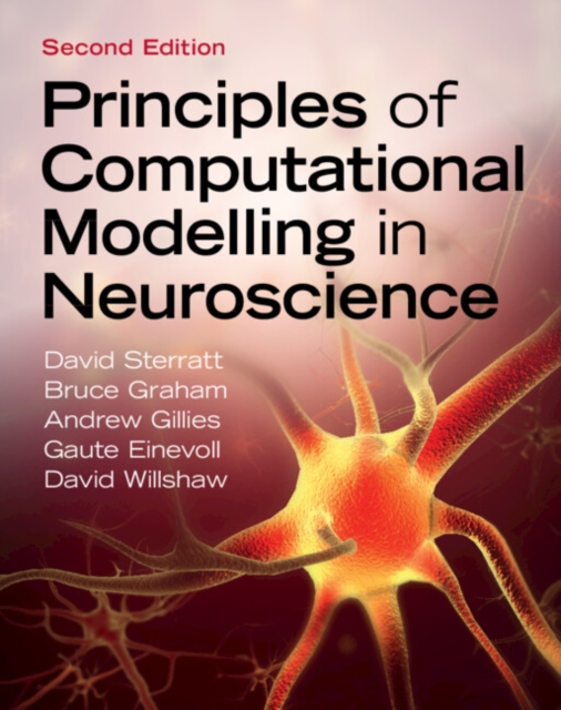 Principles of Computational Modelling in Neuroscience, PDF eBook