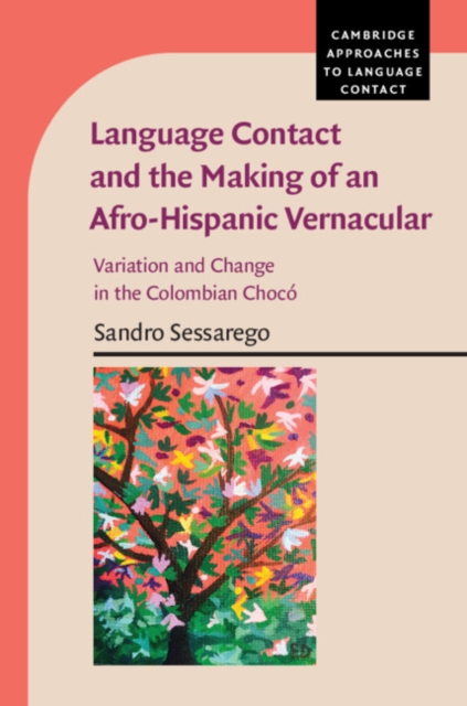 Language Contact and the Making of an Afro-Hispanic Vernacular : Variation and Change in the Colombian Choco, EPUB eBook