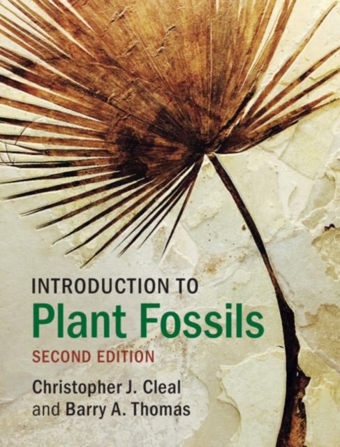 Introduction to Plant Fossils, PDF eBook