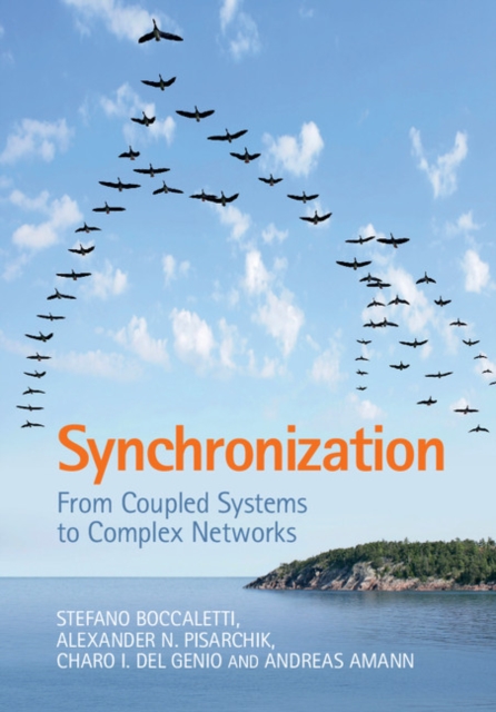 Synchronization : From Coupled Systems to Complex Networks, PDF eBook
