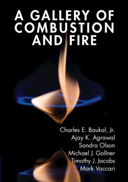 Gallery of Combustion and Fire, EPUB eBook