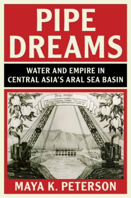 Pipe Dreams : Water and Empire in Central Asia's Aral Sea Basin, PDF eBook