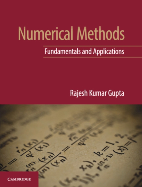 Numerical Methods : Fundamentals and Applications, PDF eBook