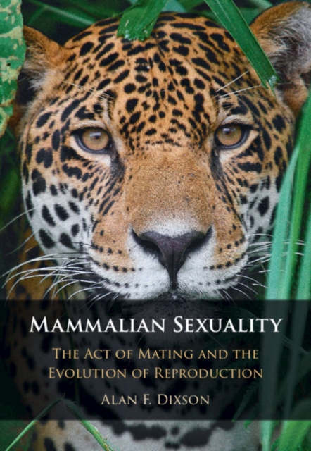 Mammalian Sexuality : The Act of Mating and the Evolution of Reproduction, EPUB eBook