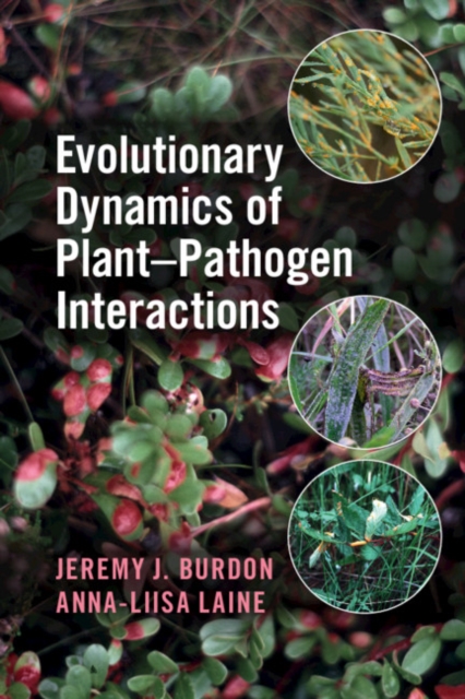 Evolutionary Dynamics of Plant-Pathogen Interactions, Paperback / softback Book
