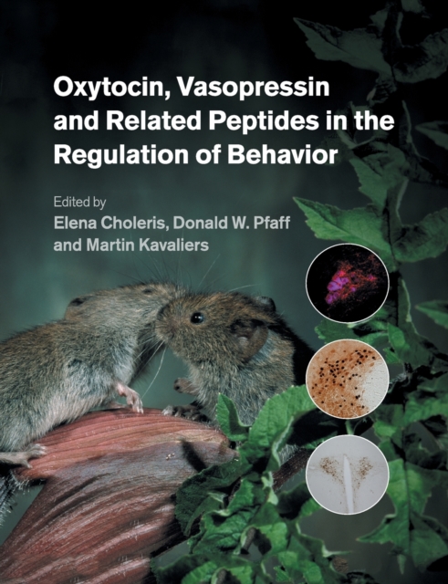 Oxytocin, Vasopressin and Related Peptides in the Regulation of Behavior, Paperback / softback Book