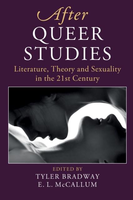 After Queer Studies : Literature, Theory and Sexuality in the 21st Century, Paperback / softback Book