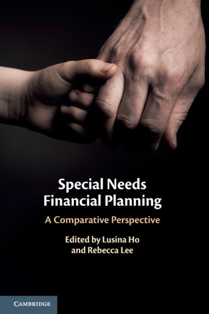 Special Needs Financial Planning : A Comparative Perspective, Paperback / softback Book
