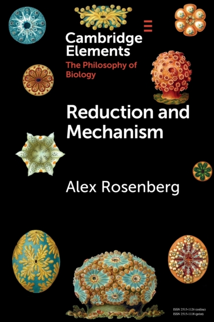 Reduction and Mechanism, Paperback / softback Book