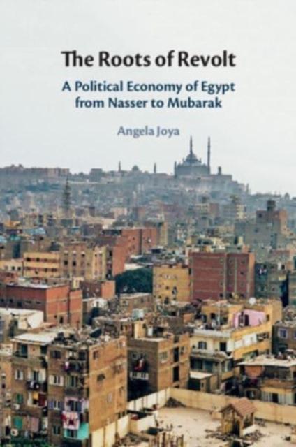 The Roots of Revolt : A Political Economy of Egypt from Nasser to Mubarak, Paperback / softback Book