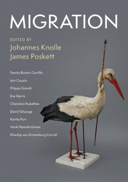 Migration, Paperback / softback Book
