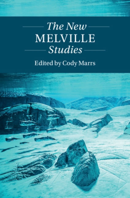 New Melville Studies, PDF eBook