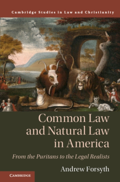 Common Law and Natural Law in America : From the Puritans to the Legal Realists, EPUB eBook
