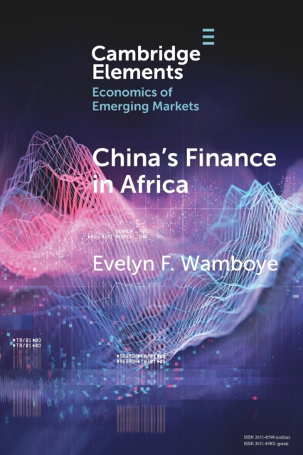 China's Finance in Africa : What and How Much?, Paperback / softback Book