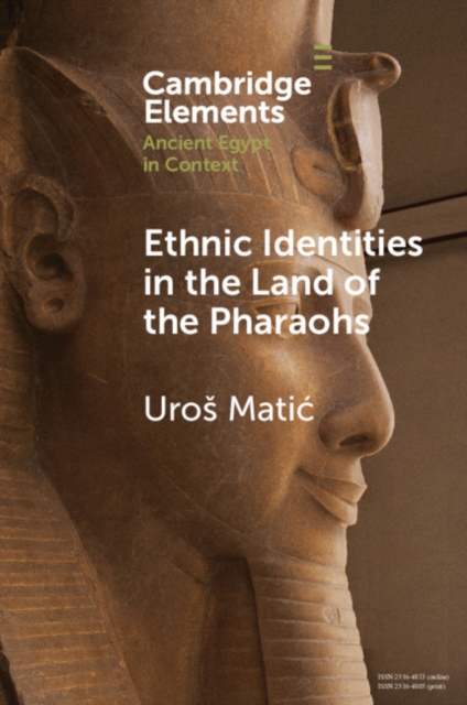 Ethnic Identities in the Land of the Pharaohs : Past and Present Approaches in Egyptology, Paperback / softback Book
