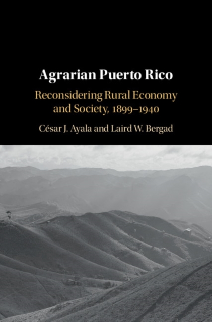 Agrarian Puerto Rico : Reconsidering Rural Economy and Society, 1899-1940, EPUB eBook