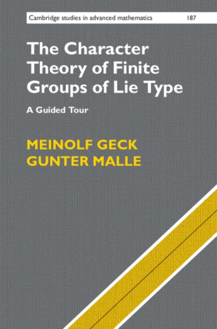 Character Theory of Finite Groups of Lie Type : A Guided Tour, PDF eBook
