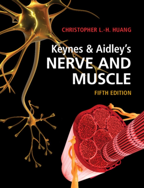 Keynes & Aidley's Nerve and Muscle, Paperback / softback Book