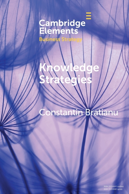 Knowledge Strategies, Paperback / softback Book