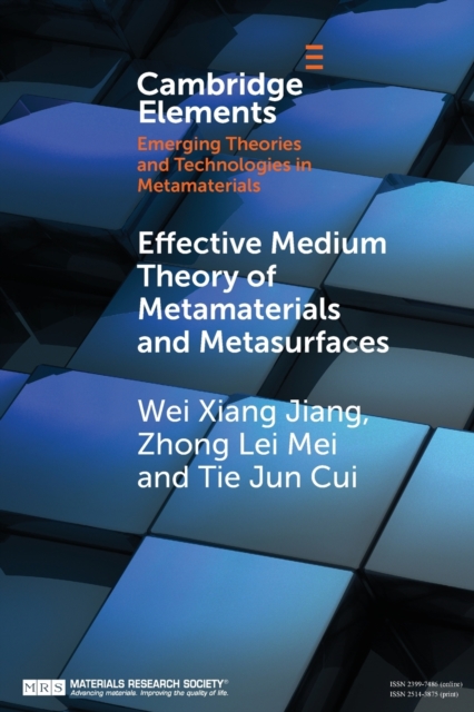 Effective Medium Theory of Metamaterials and Metasurfaces, Paperback / softback Book