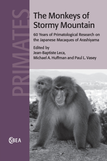 The Monkeys of Stormy Mountain : 60 Years of Primatological Research on the Japanese Macaques of Arashiyama, Paperback / softback Book