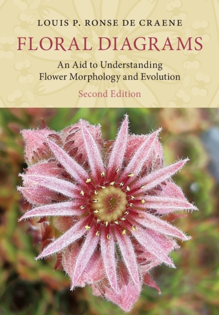 Floral Diagrams : An Aid to Understanding Flower Morphology and Evolution, Paperback / softback Book