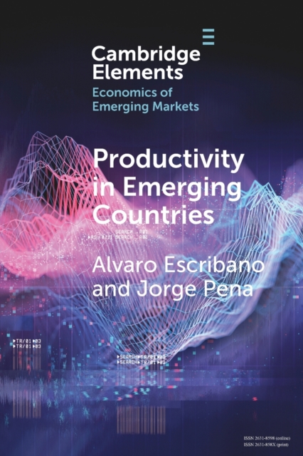Productivity in Emerging Countries : Methodology and Firm-Level Analysis based on International Enterprise Business Surveys, Paperback / softback Book