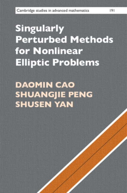Singularly Perturbed Methods for Nonlinear Elliptic Problems, Hardback Book