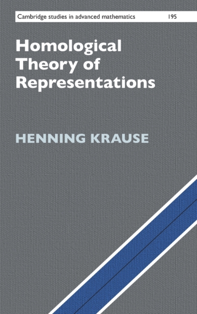 Homological Theory of Representations, Hardback Book