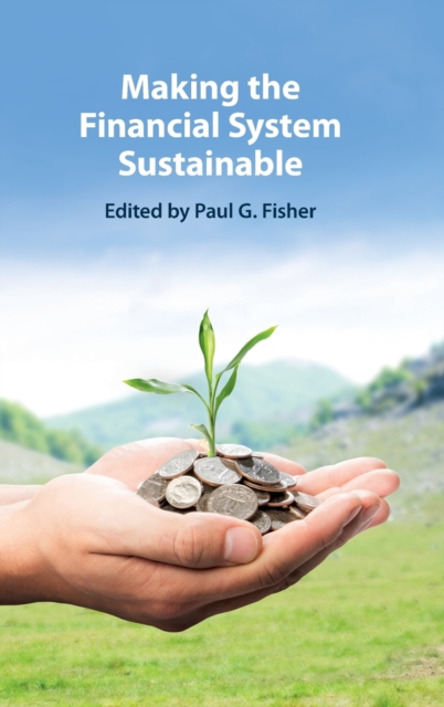 Making the Financial System Sustainable, Hardback Book