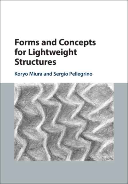 Forms and Concepts for Lightweight Structures, EPUB eBook