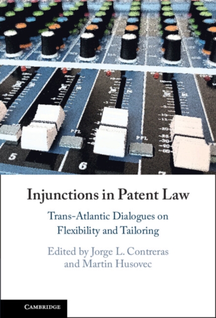 Injunctions in Patent Law : Trans-Atlantic Dialogues on Flexibility and Tailoring, EPUB eBook