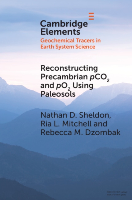 Reconstructing Precambrian pCO2 and pO2 Using Paleosols, PDF eBook