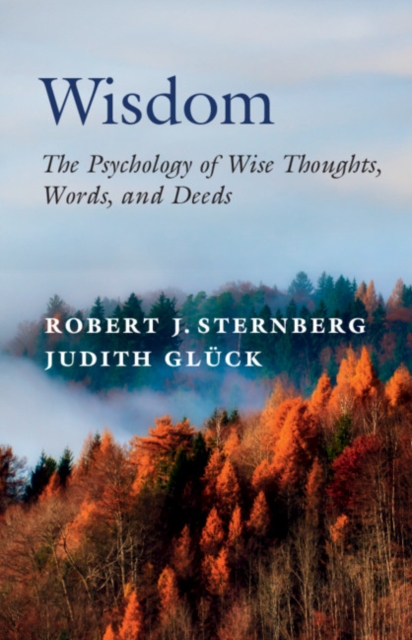 Wisdom : The Psychology of Wise Thoughts, Words, and Deeds, PDF eBook