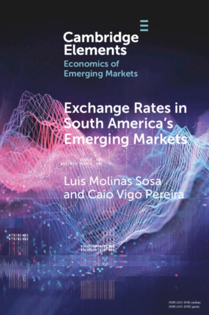 Exchange Rates in South America's Emerging Markets, PDF eBook