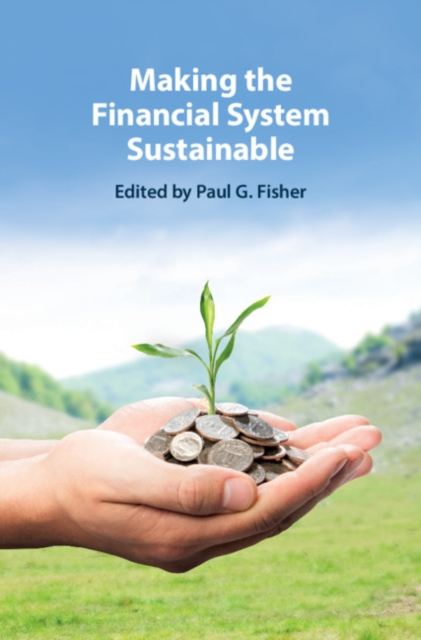 Making the Financial System Sustainable, PDF eBook