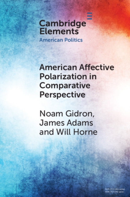 American Affective Polarization in Comparative Perspective, EPUB eBook