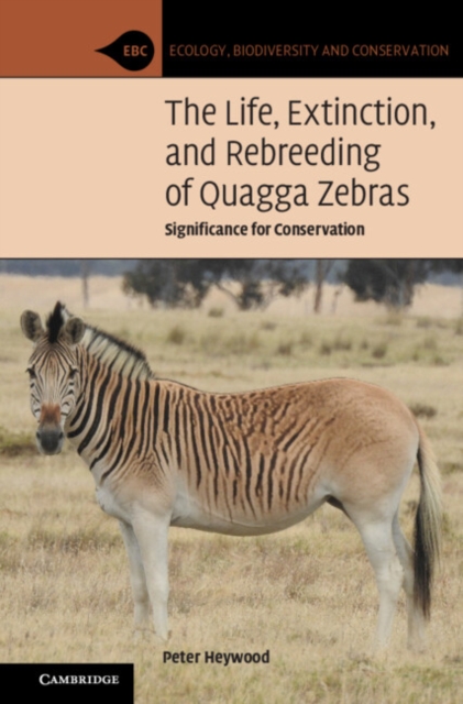Life, Extinction, and Rebreeding of Quagga Zebras : Significance for Conservation, EPUB eBook