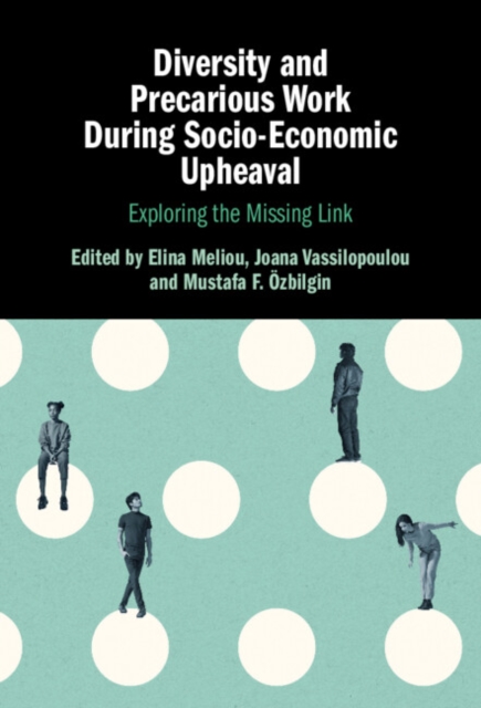Diversity and Precarious Work During Socio-Economic Upheaval : Exploring the Missing Link, EPUB eBook